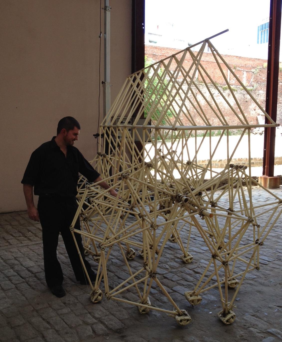 Me with a Strandbeest