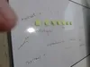 exp_wbc_course3.jpg